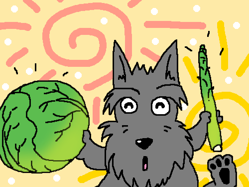 春キャベツ Macんち日記 春キャベツ Macんち日記