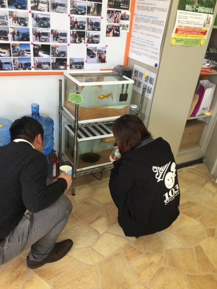 4月12日(木)☆TOMMYアウトレット☆あゆブログ(*´ω`*)新在続々入荷中♪自社ローン・ローンサポート☆_b0127002_17075651.jpg