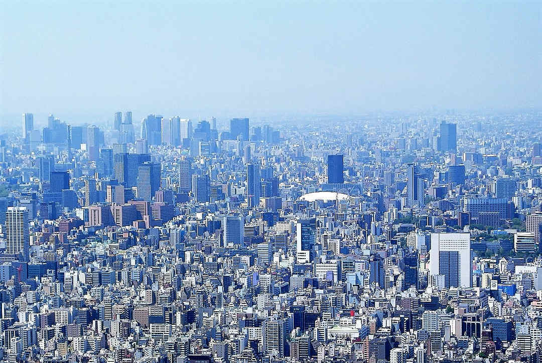 a0148206_15075177.jpg