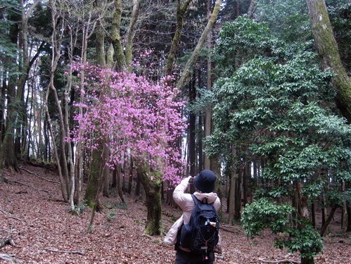 小塩山とお花さん達_a0164011_22273011.jpg