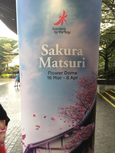 桜まつり In シンガポール アンサンブラウ スタッフブログ ドイツ フランス イタリア 英国 シンガポール 海外ビジネス最新情報 桜まつり In シンガポール アンサンブラウ スタッフブログ ドイツ フランス イタリア 英国 シンガポール 海外ビジネス最新情報