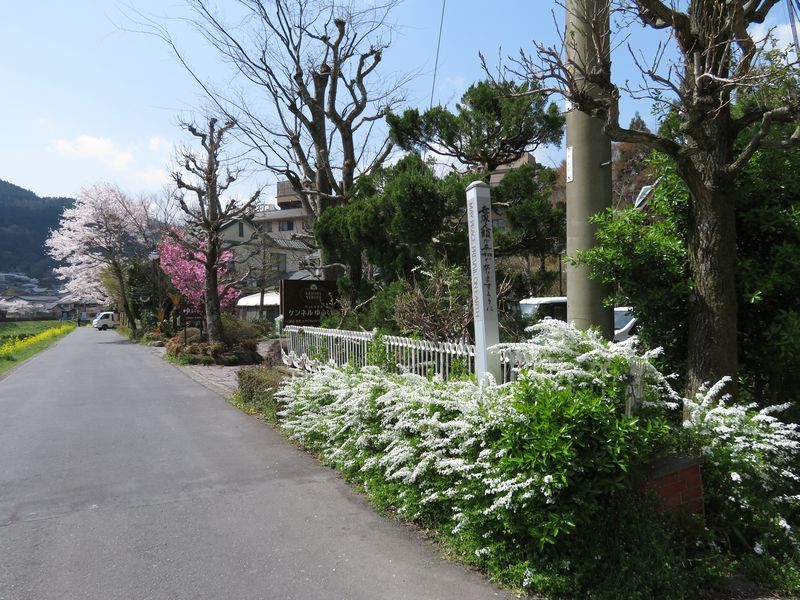 d0065113_13084493.jpg