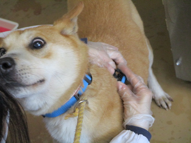 f0078320_01315016.jpg