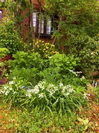 c0204121_00024723.jpg