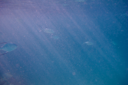 e0387424_09465177.jpg