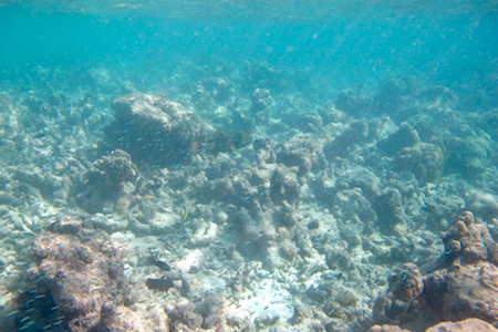 e0387424_09465246.jpg
