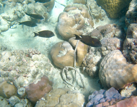 e0387424_09473043.jpg