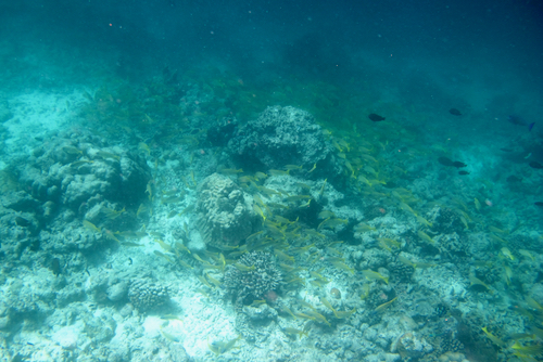 e0387424_09473074.jpg