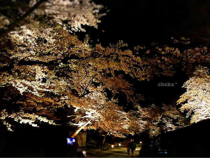 夜桜 鶴ヶ城 de  カメラ女子✨_c0229025_22061127.jpg