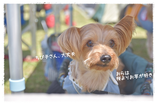 d0179828_11105275.png