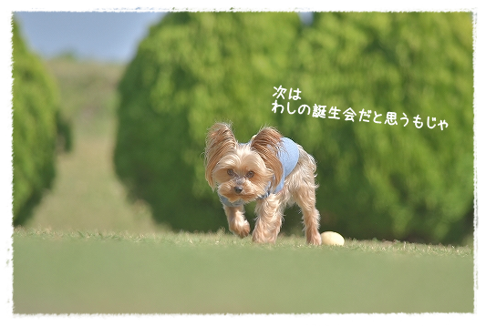 d0179828_11173875.png