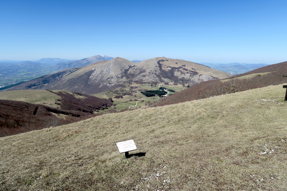 f0234936_738204.jpg