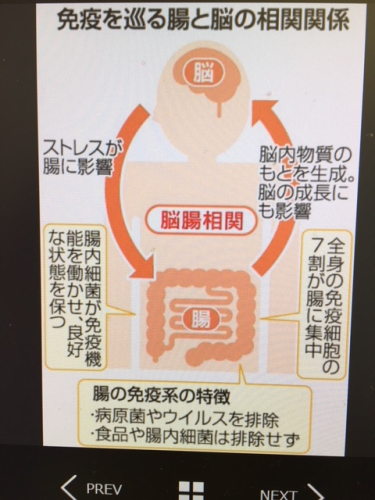 c0256638_11063833.png