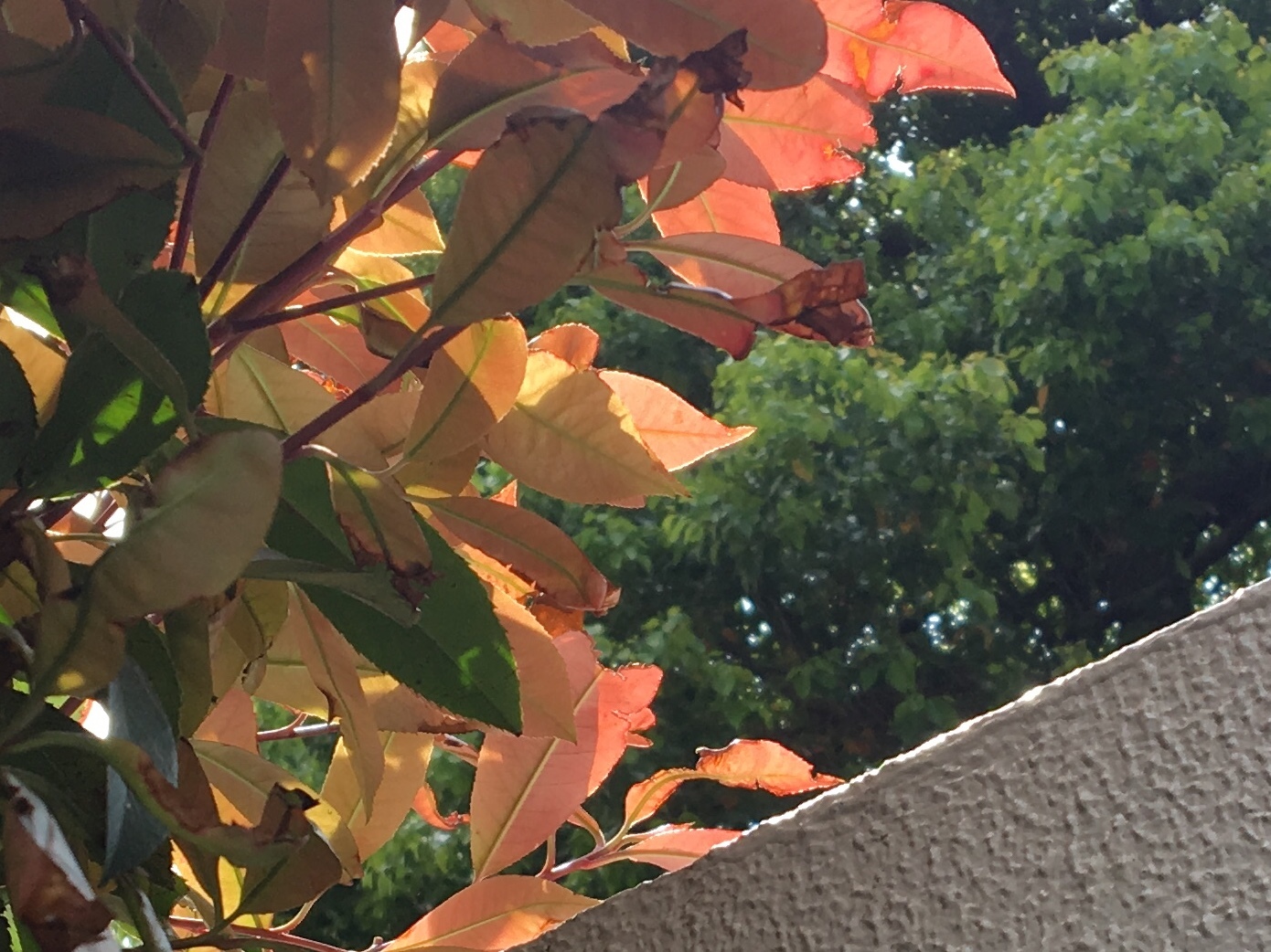 b0330040_16153802.jpeg