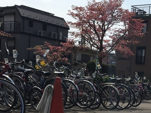 b0330040_16415045.jpeg