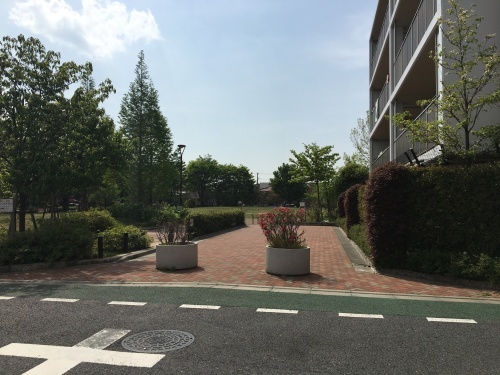 b0330040_16452740.jpeg