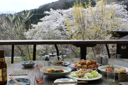 ４月１２日　　桜が満開です_d0249047_14140595.jpg
