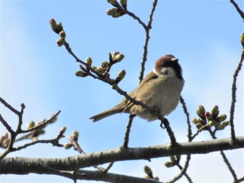 b0238249_21401614.jpg