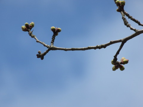 b0238249_21421226.jpg