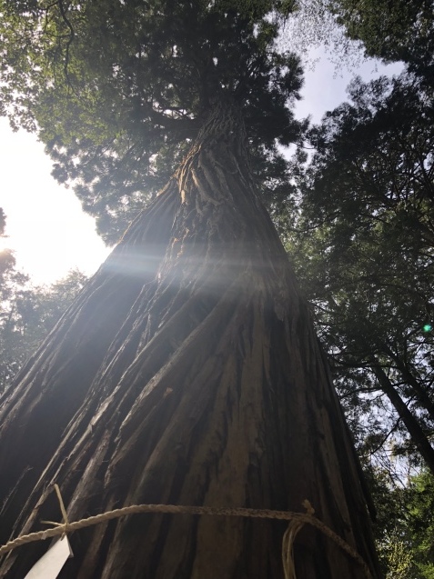 b0214652_19103459.jpeg