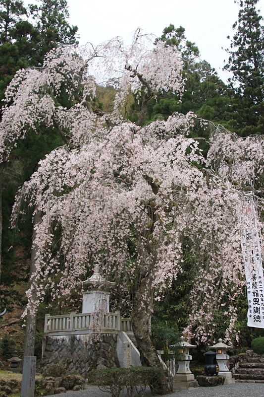 a0167759_16304619.jpg