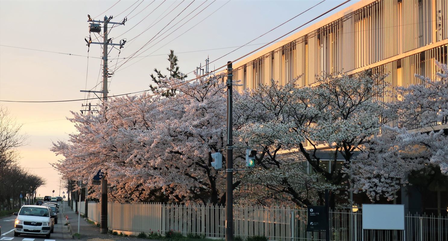 変わらぬ風景ー77　桜・島めぐり_b0191160_20290908.jpg