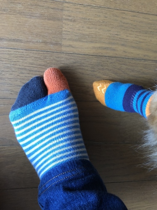 e0151266_06163753.jpeg