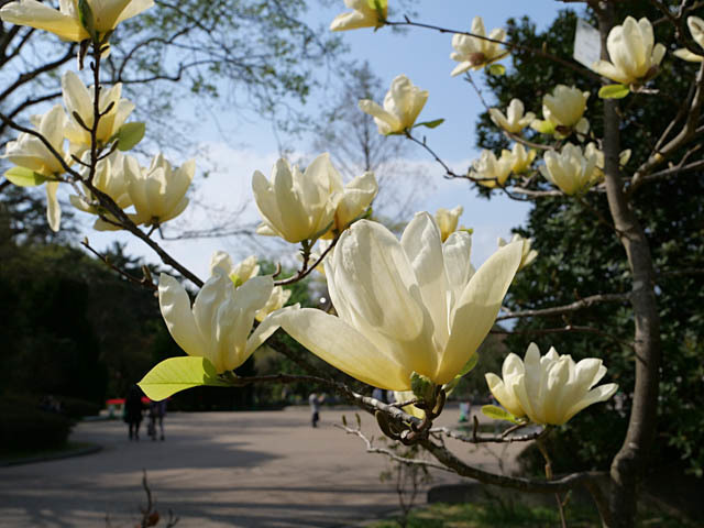 f0199866_05575028.jpg