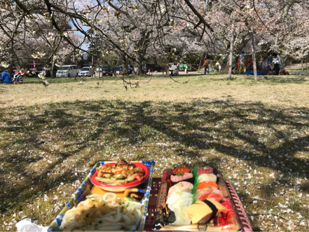 三神峯公園も桜吹雪 オニコウベの風に吹かれて 仙台編
