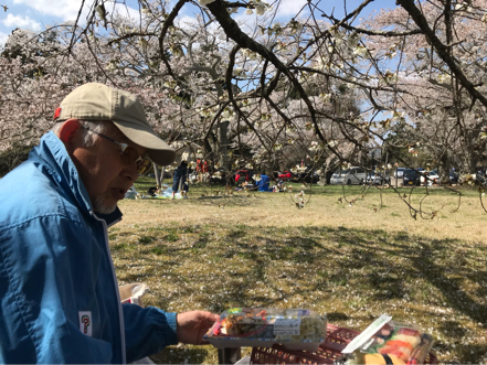 三神峯公園も桜吹雪 オニコウベの風に吹かれて 仙台編