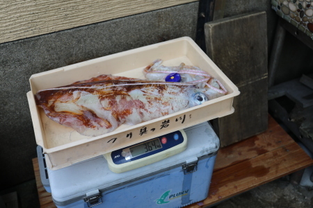 b0241778_14031085.jpeg