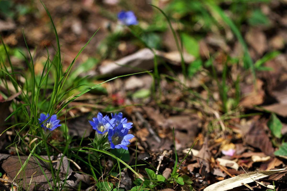 a0083081_20371279.jpg