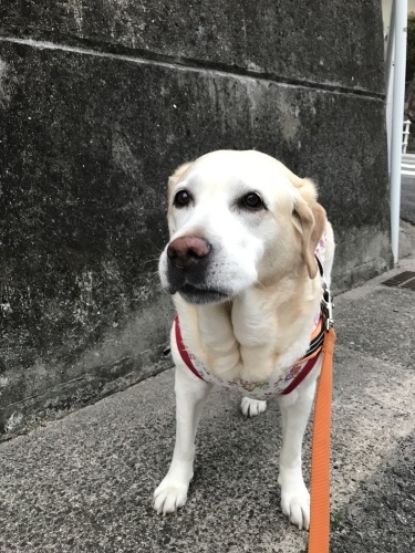 f0315081_21483615.jpeg