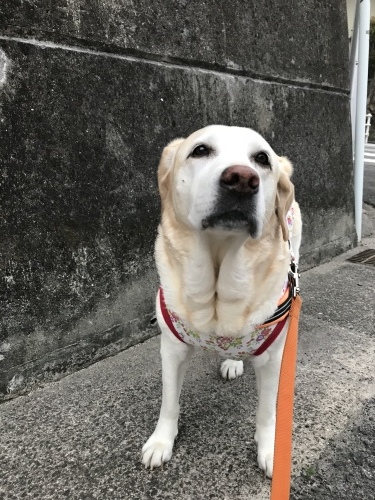 f0315081_21491156.jpeg