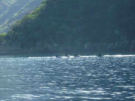 d0170586_17191441.jpg