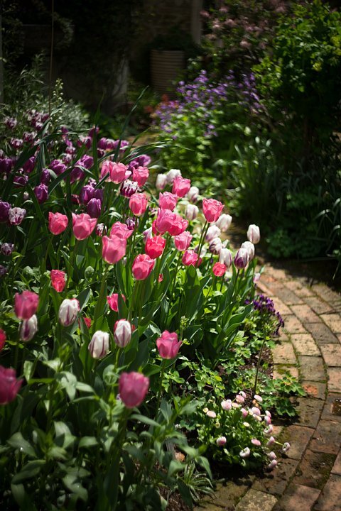 チューリップの季節の英国庭園_d0353489_21333863.jpg
