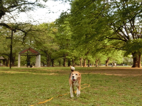 a0319693_6451610.jpg