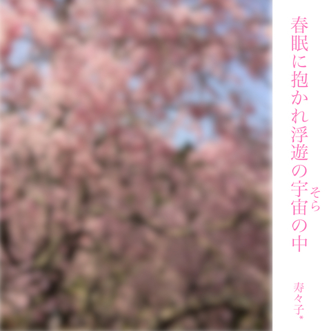 a0205497_10230576.jpeg