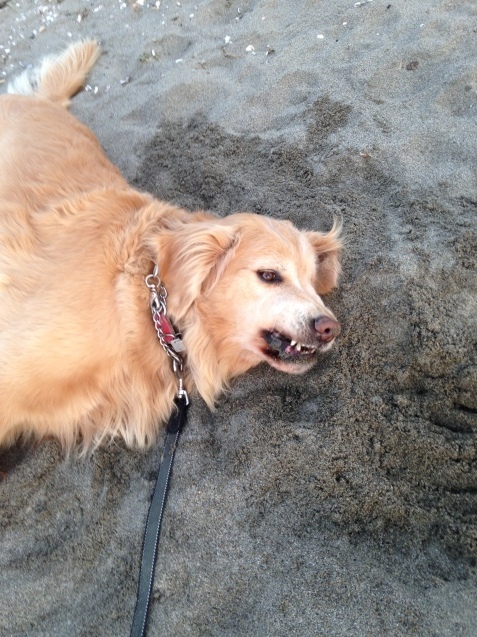 b0275998_11194823.jpeg