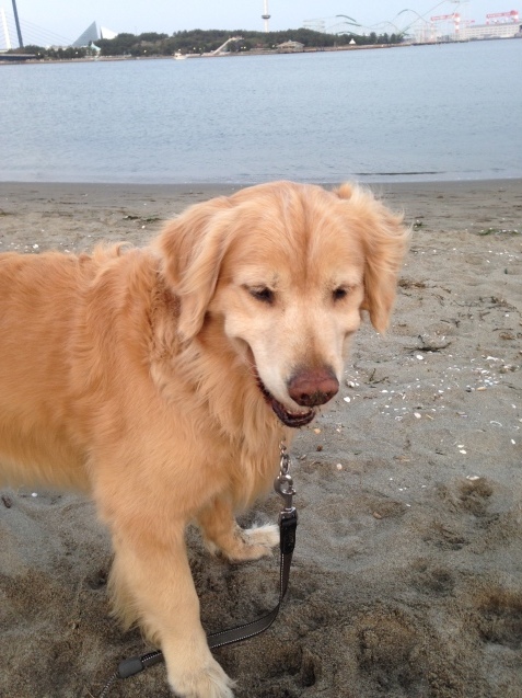 b0275998_11201070.jpeg