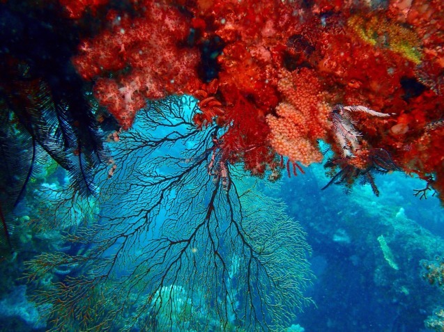 e0115199_14092127.jpg