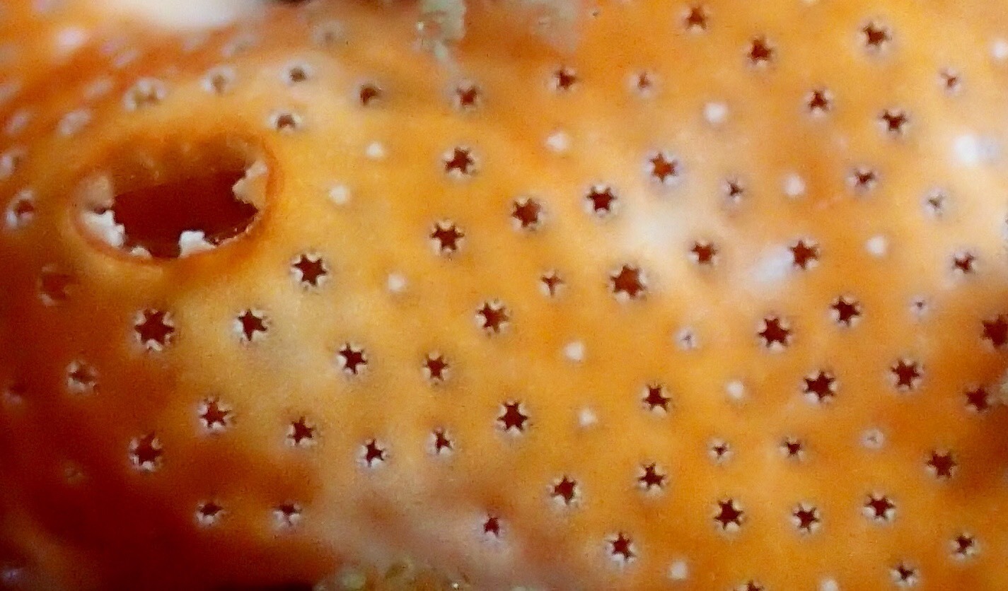 e0115199_15492269.jpg