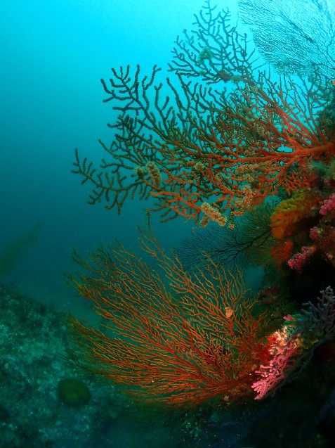 e0115199_16053345.jpg