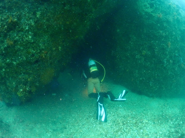 e0115199_16095143.jpg
