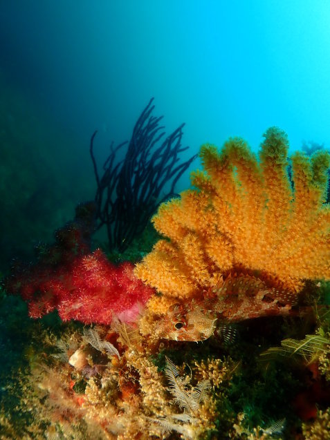 e0115199_16144811.jpg