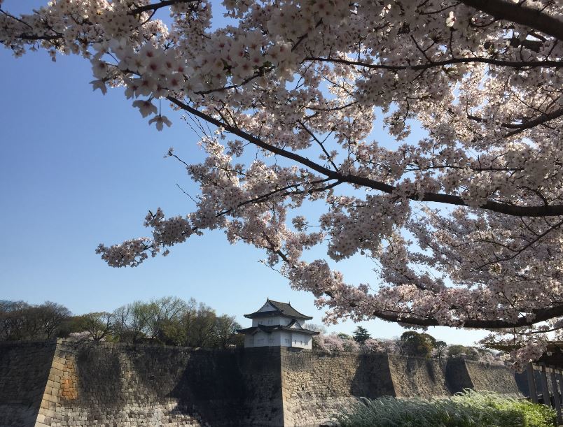 2018/4/13　大阪城の桜_b0362900_20152039.jpg