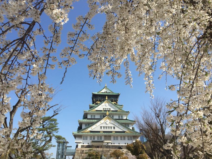 2018/4/13　大阪城の桜_b0362900_20165287.jpg