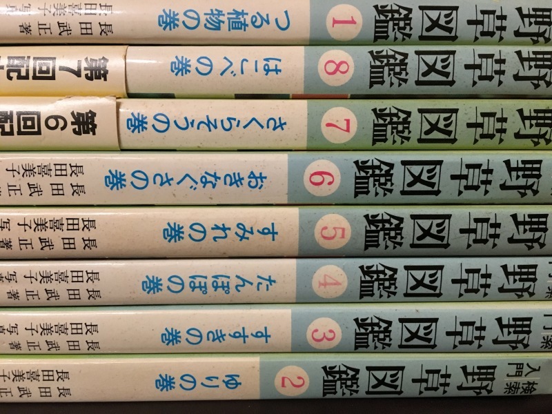 b0220002_22135414.jpeg