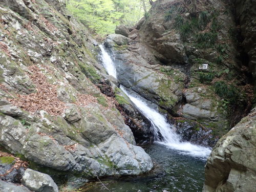 d0342206_19044100.jpg