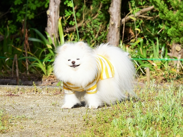日々是回復?_d0360206_00123525.jpg